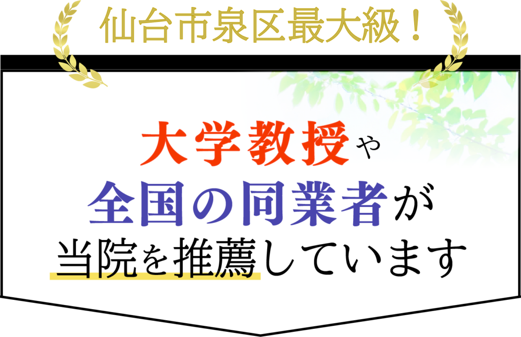 大学教授や全国の同業者も当院の施術を絶賛しています